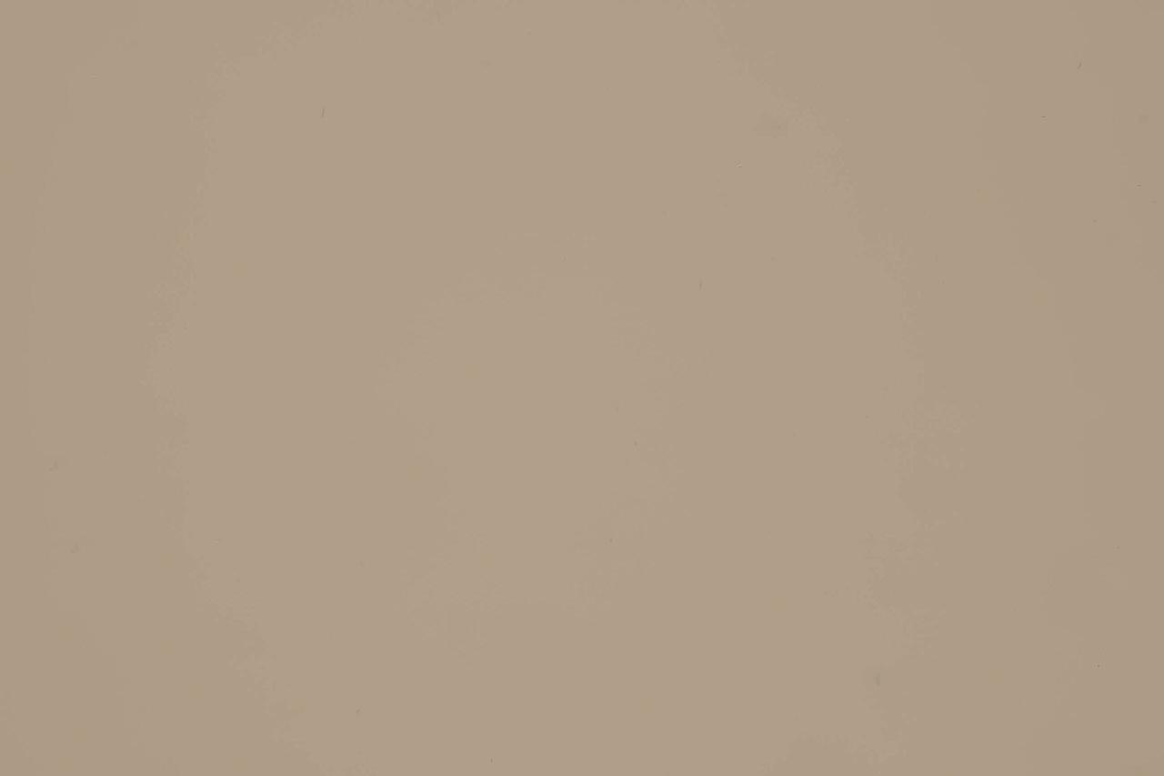 Алюмінієва композитна панель 4-04 Albond® 7000 / SOLID / RAL 1014 Ivory